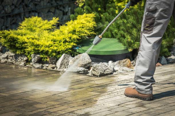 Best Oil Spill Cleanup  in Westchase, FL
