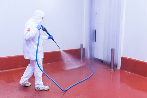 Animal Enclosure Cleaning in Westchase, FL