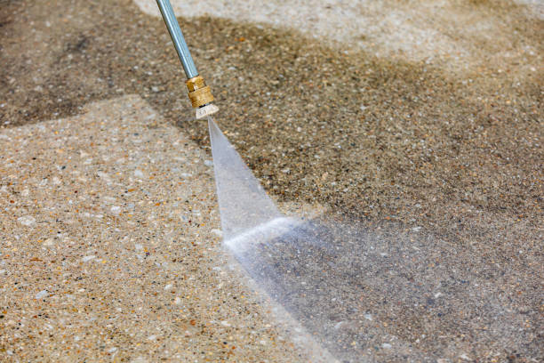 Best Gutter Cleaning  in Westchase, FL