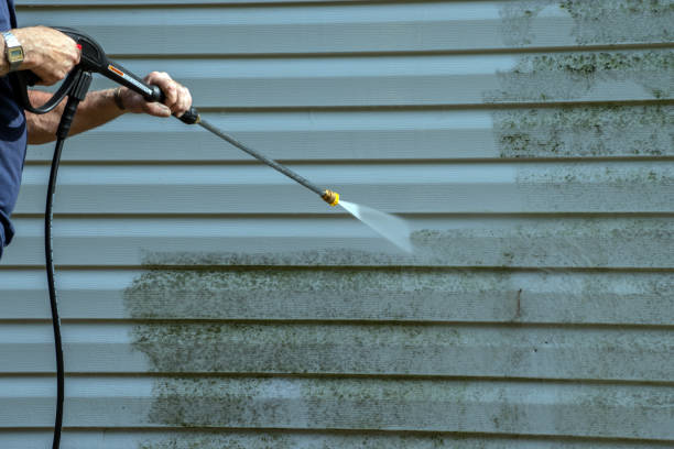 Best Building Exterior Washing  in Westchase, FL